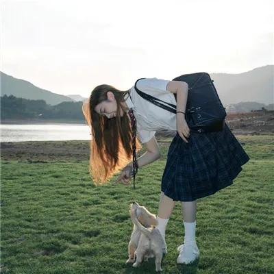 安德鲁克里斯和狮子